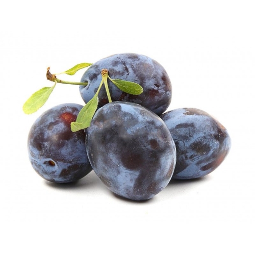 Слива чернослив Адыгейский оптом