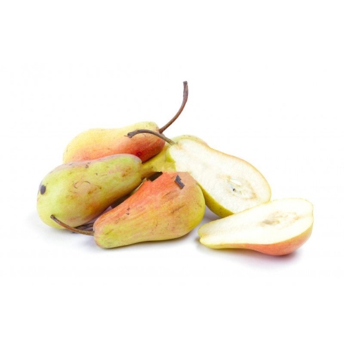 Груши Лесная красавица оптом