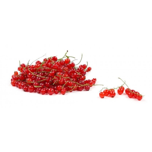 Красная смородина СНГ оптом