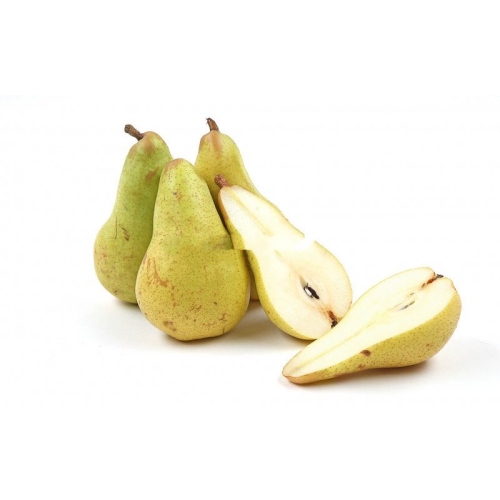 Груша Аббат оптом