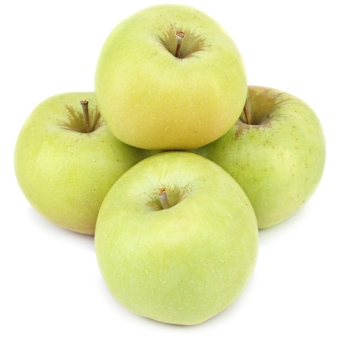 Яблоки богатырь