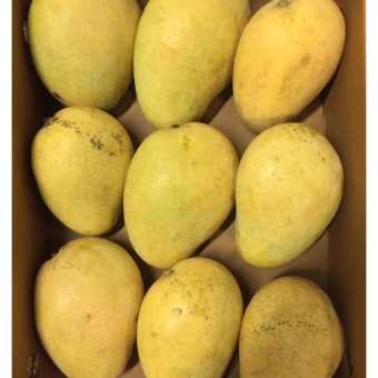 Манго Бадами коробка