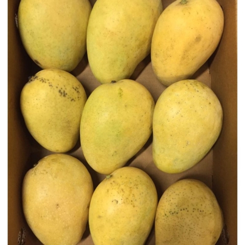 Манго Бадами коробка оптом