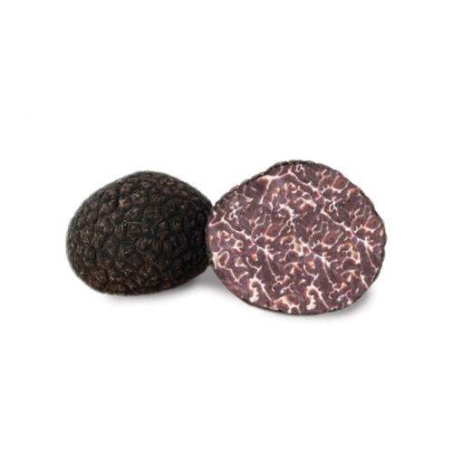 Трюфель черный Москато Tuber brumale var. moschatum De Ferry оптом