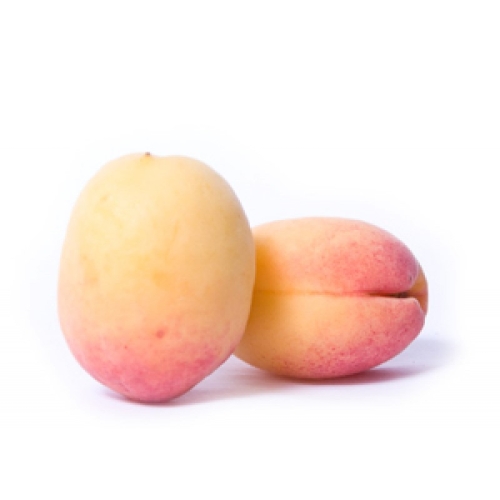 Абрикосы премиум оптом