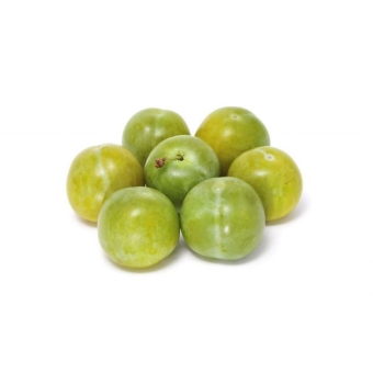 Алыча зеленая
