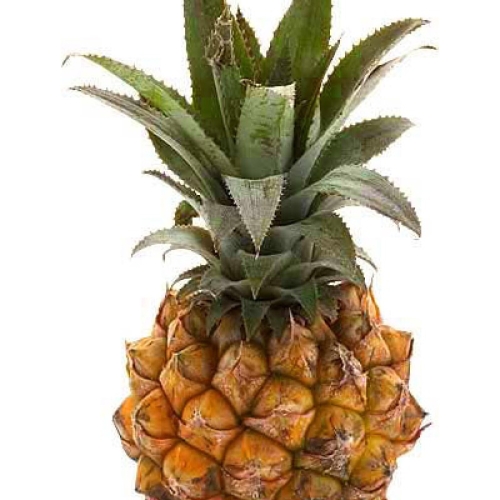 Ананас мини оптом