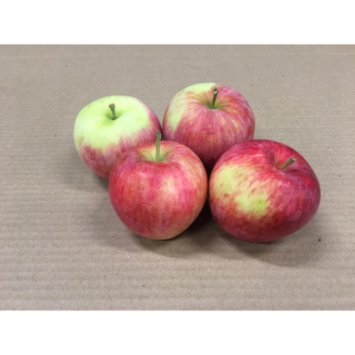 Яблоки Пирус оптом