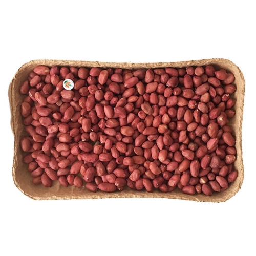 Арахис сырой оптом