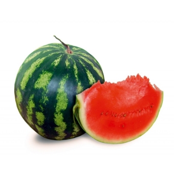 Арбуз холодок