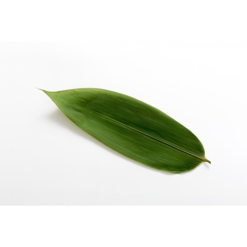 Листья бамбука оптом