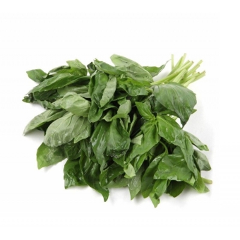 Базилик зеленый