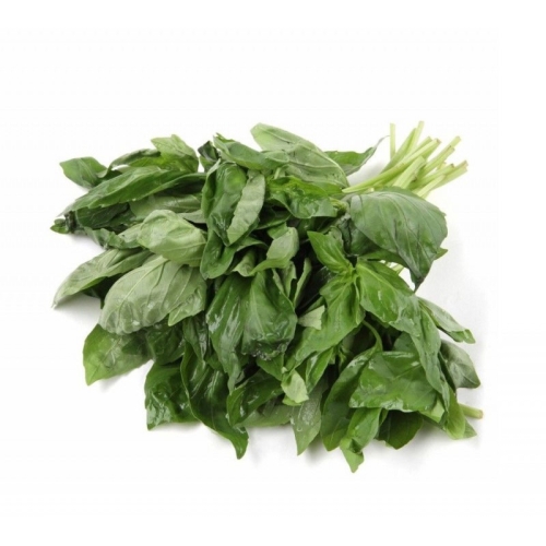 Базилик зеленый оптом