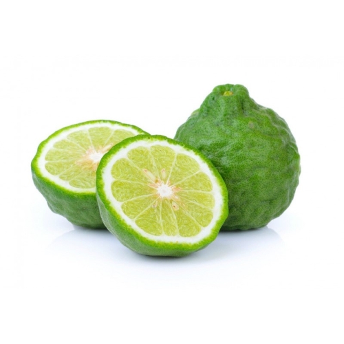 Бергамот оптом