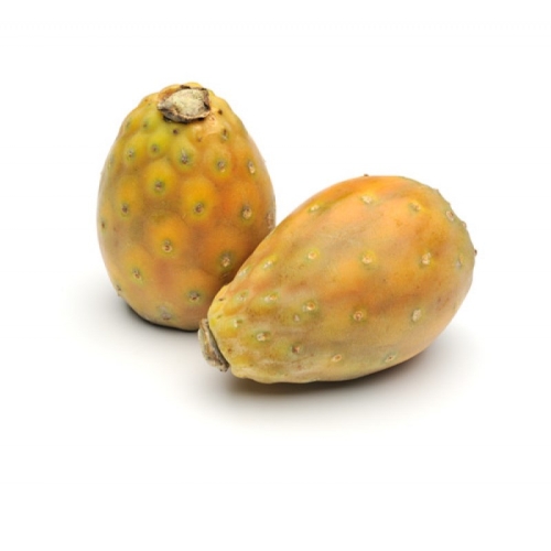 Инжир кактусовый оптом