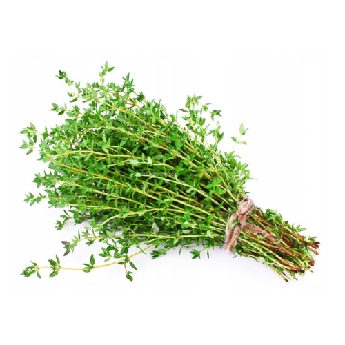 Чабрец оптом