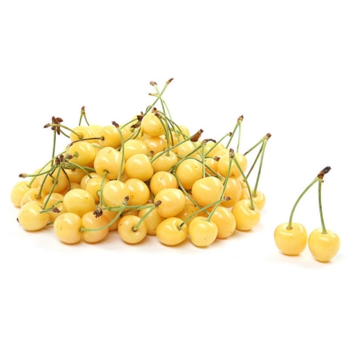 Черешня желтая оптом