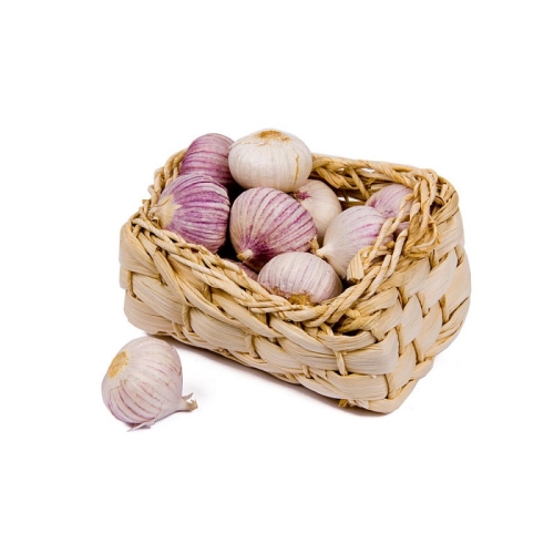 Чеснок соло оптом