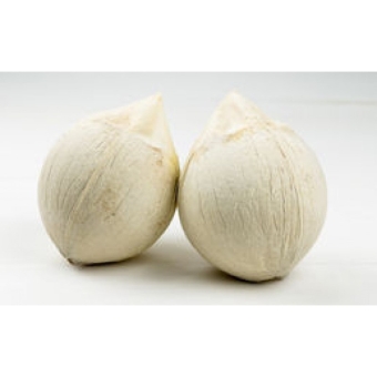 Кокос питьевой