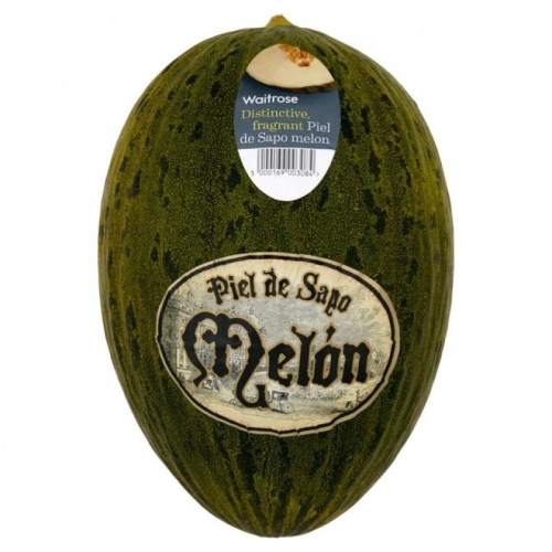 Дыня пьел де сапо оптом