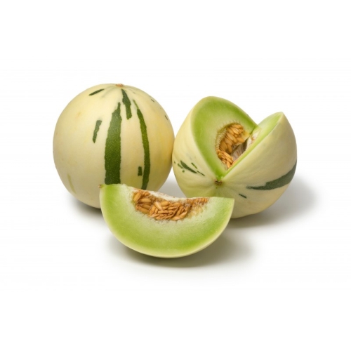 Дыня белая Dino оптом