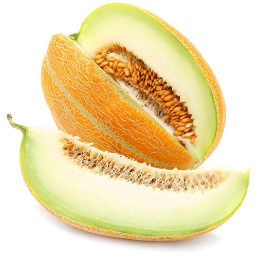 Дыня Эфиопка оптом