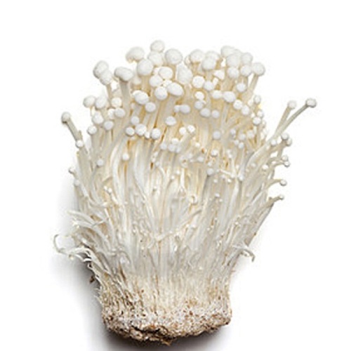 Грибы еноки оптом