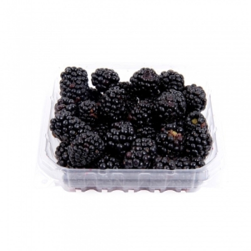 Ежевика оптом