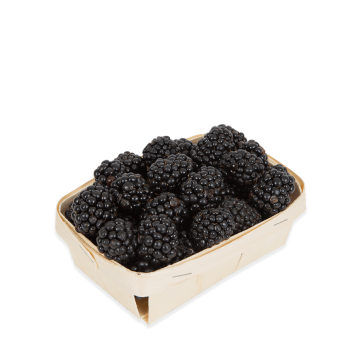 Ежевика сезонная