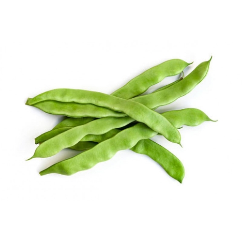 Зеленая стручковая фасоль оптом