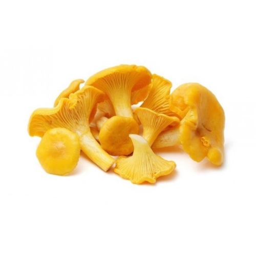 Грибы лисички свежие оптом