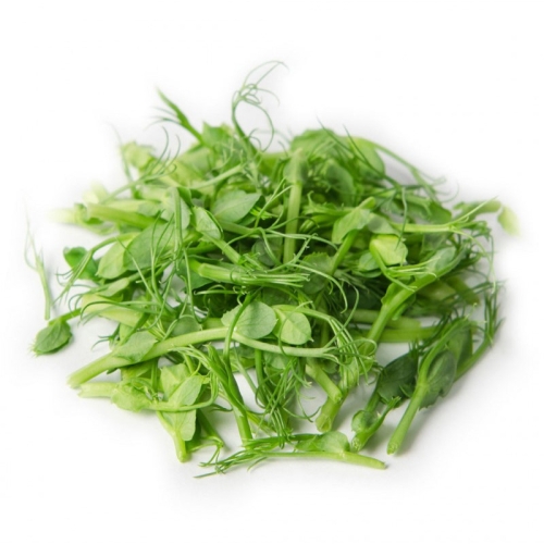 Проростки гороха оптом