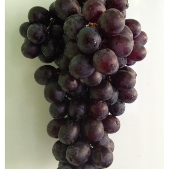 Виноград Чарас