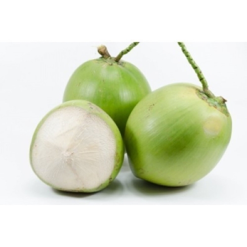 Зеленый кокос оптом