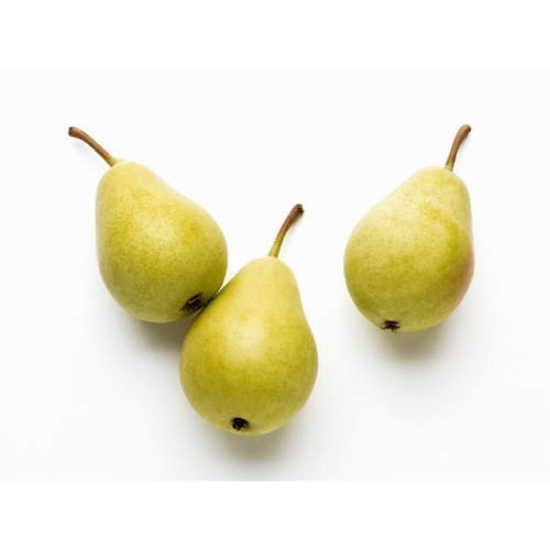 Груша Coscia (Косща) оптом