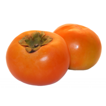 Хурма шарон