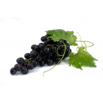 Виноград изабелла