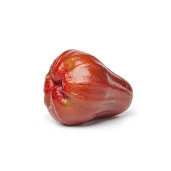 Яблоко Яванское