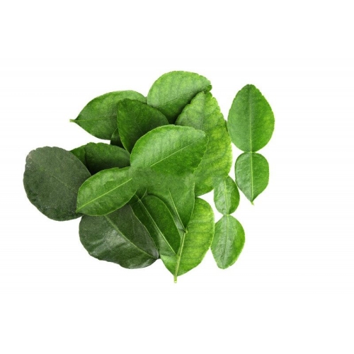 Листья каффир-лайма оптом