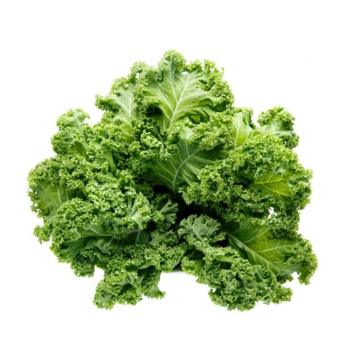 Кейл Салат оптом