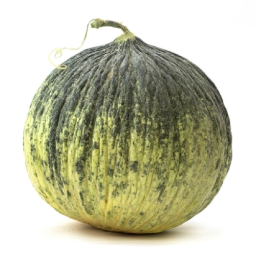 Дыня Кампыр поздняя оптом