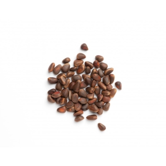 Кедровый орех в скорлупе