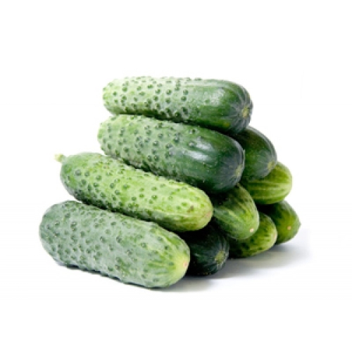 Огурцы корнишоны оптом