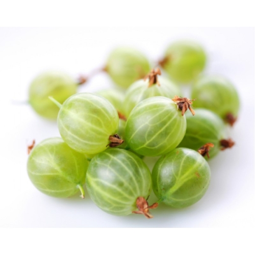 Крыжовника ягоды оптом