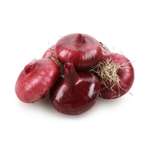 Ялтинский лук оптом