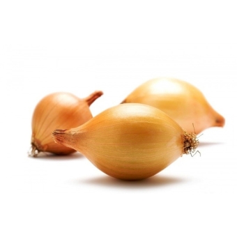 Лук севок Штутгартен