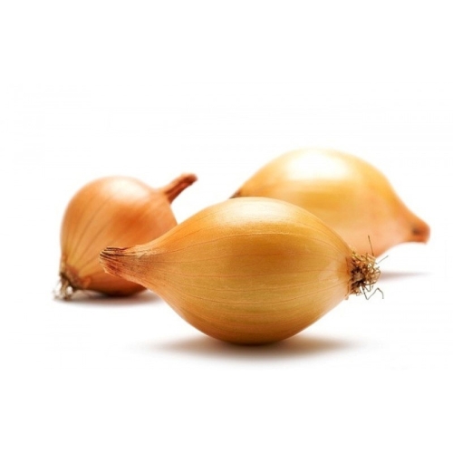 Лук севок Штутгартен оптом