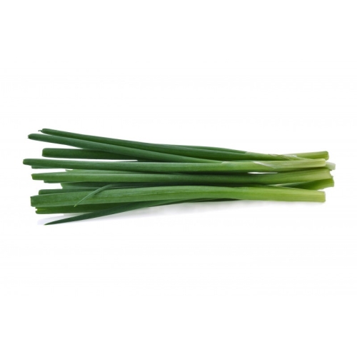 Лук шнитт оптом