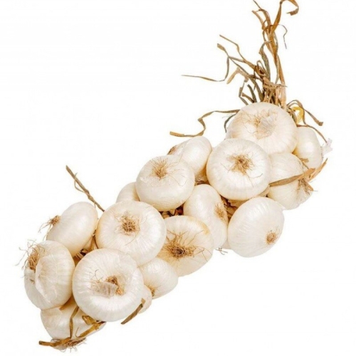 Лук ялтинский белый оптом
