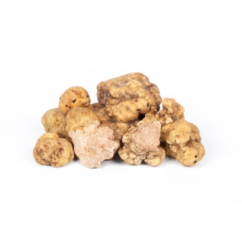 Трюфель Магнатум